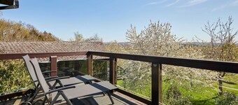 Host & Stay | Beech Lodge