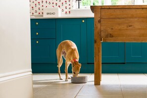 Ein Hund frisst aus einer Schüssel in einer Küche mit türkisfarbenen Schränken und einem Holztisch.