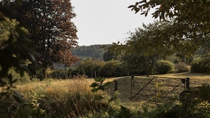 A rural landscape with a metal gate, trees, and a grassy field.