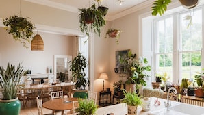 A cozy room with a wooden dining table, chairs, a hanging plant, a lamp, and a window with a view of greenery.