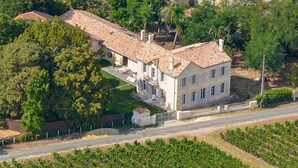 A large two-story house with a tiled roof, surrounded by a well-maintained lawn and a vineyard.