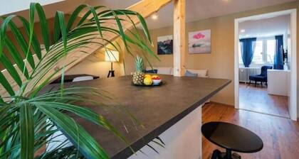 Central 70 sqm rooftop apartment (no. 8) for 4 pers.