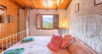 Casa Kiwi