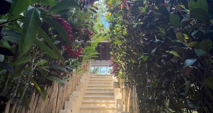 Finca La Verbena - The Sound of Nature