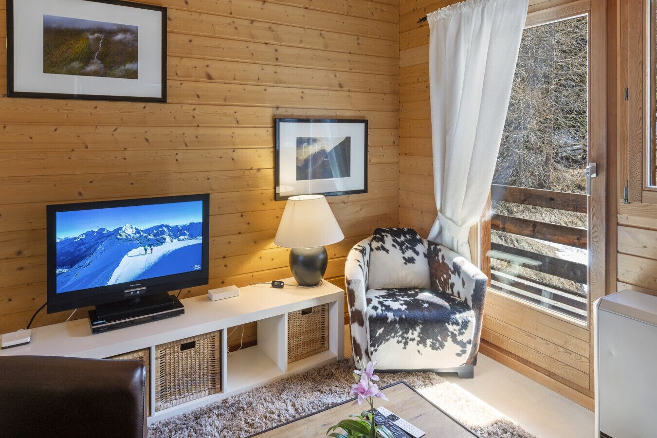 Fernseher, Bücher