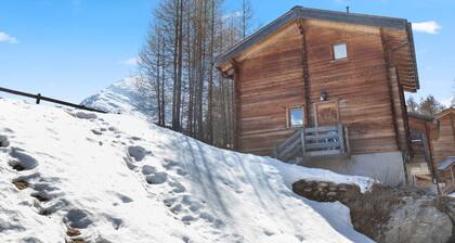 Magnificent chalet in a peaceful natural setting