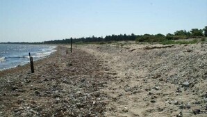 Uma praia rochosa com uma cerca e árvores ao fundo.