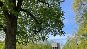 A park with a playground, a bench, and a tree.