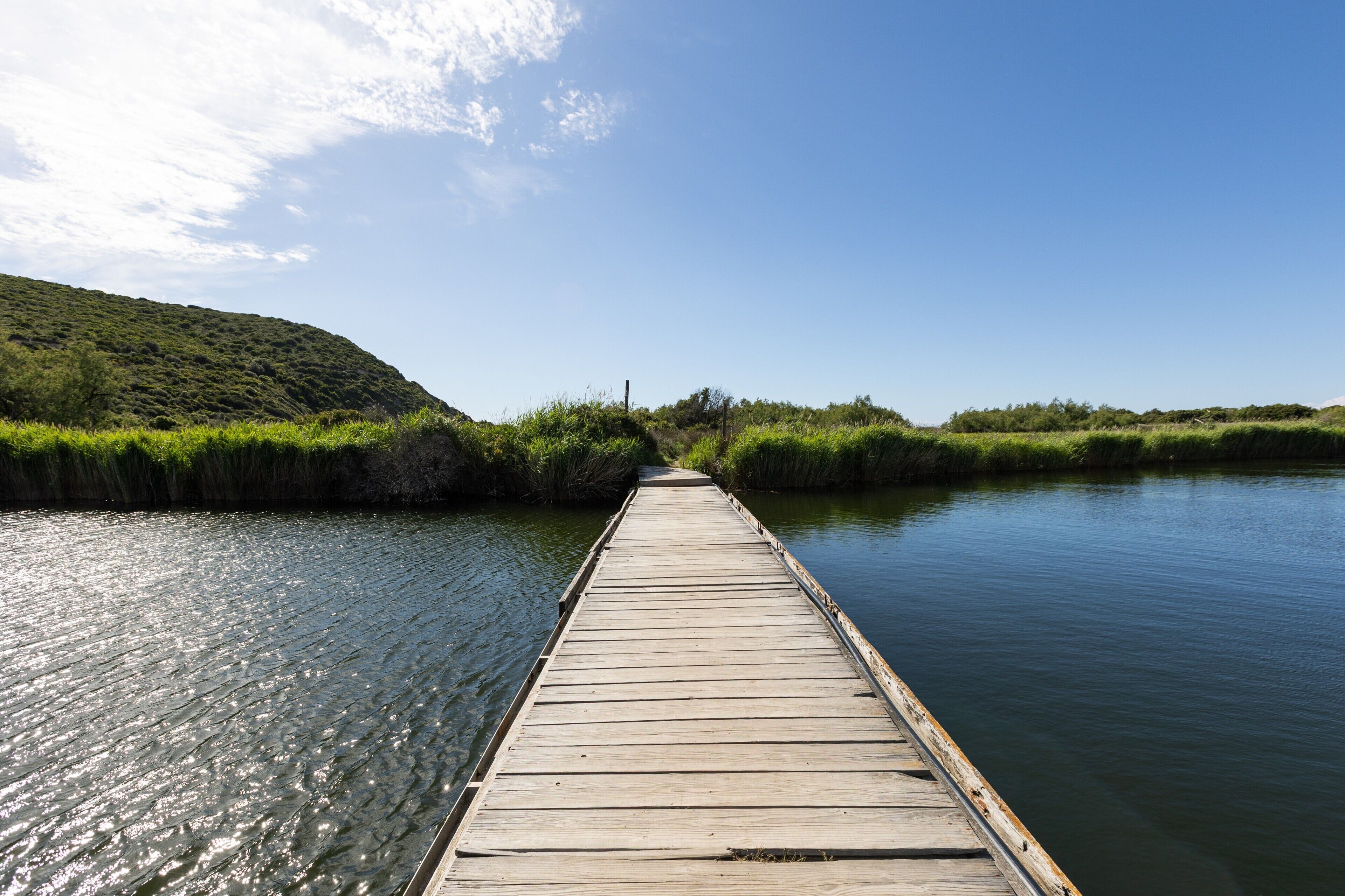 A wooden pier extending into calm water, surrounded by lush greenery and a clear sky.