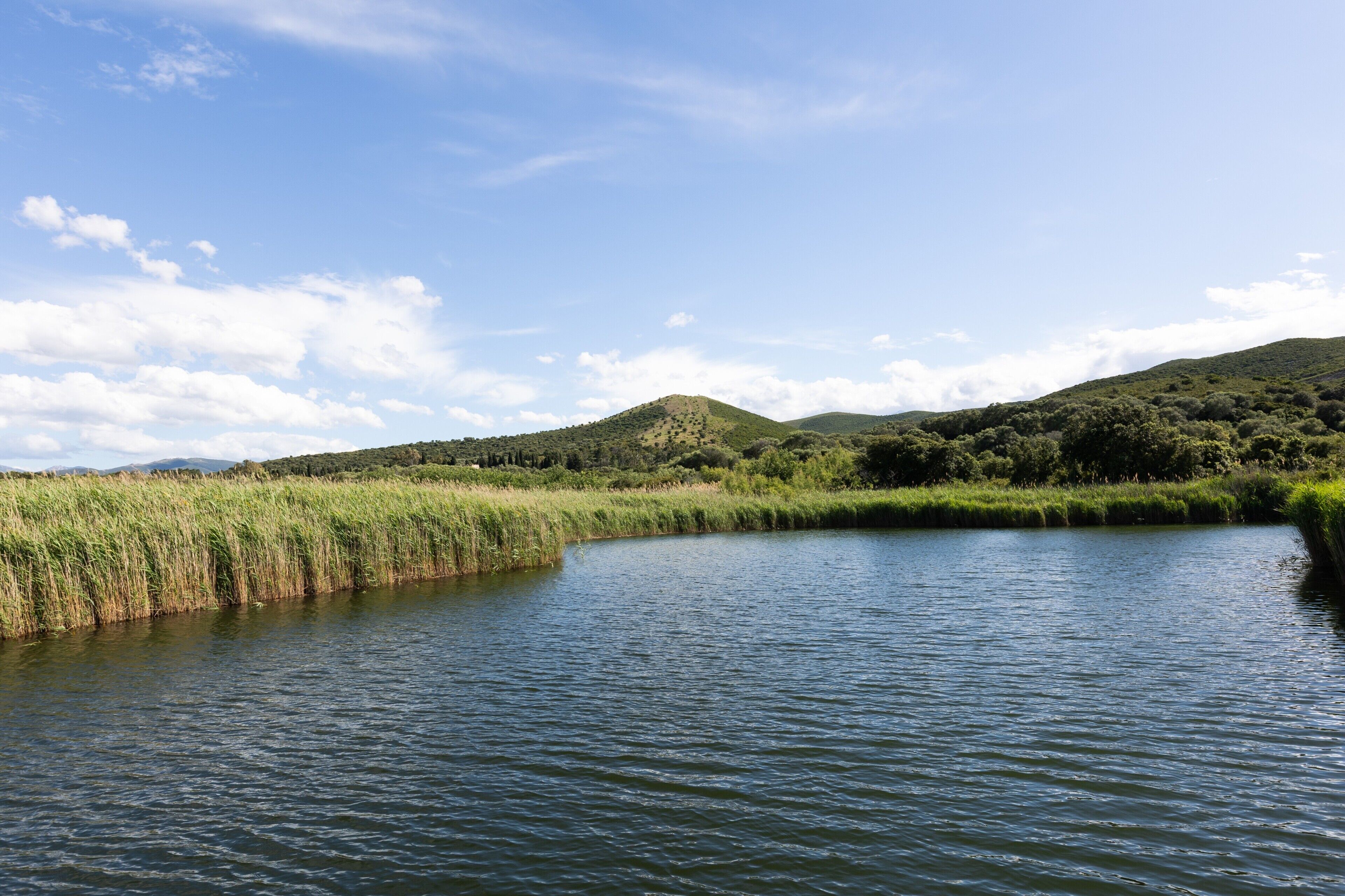 Une rivière paisible, bordée de rives verdoyantes et avec des collines en arrière-plan.