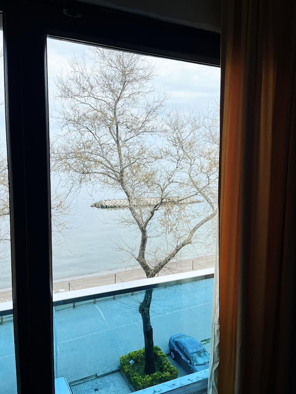 A window with a view of a tree and a body of water.