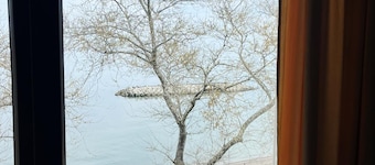 Dophins Otel