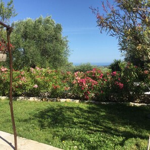 Property grounds - Charming villa with swimming pool - sleeps 8 (Le Rouret)
