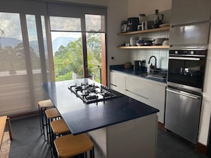 Eine moderne Küche mit einer zentralen Kochinsel, Edelstahlgeräten und Bergblick durch große Fenster.