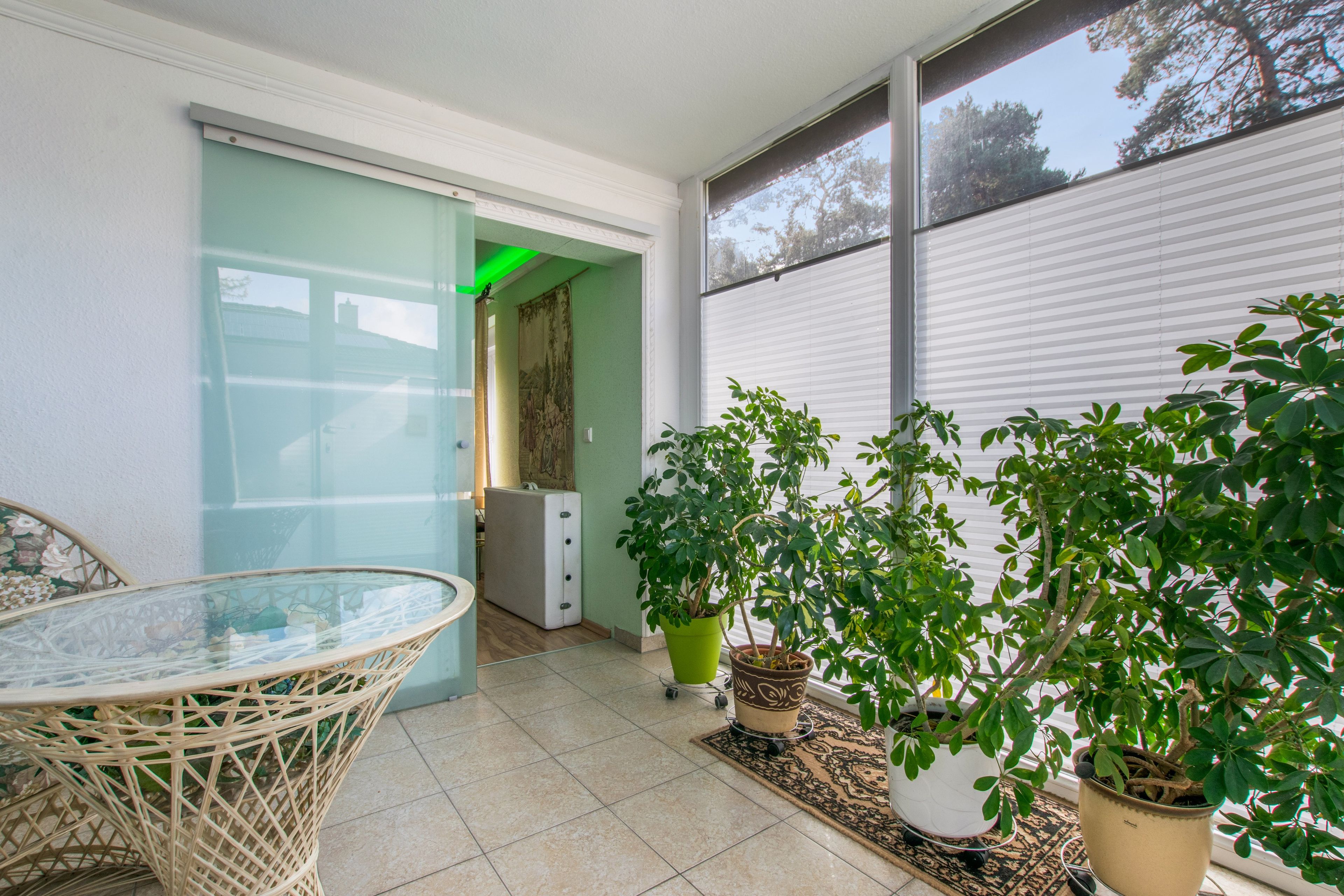 A room with a glass table, potted plants, and a sliding door leading to another space.