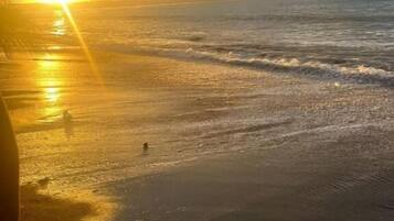 Una playa cerca, arena negra