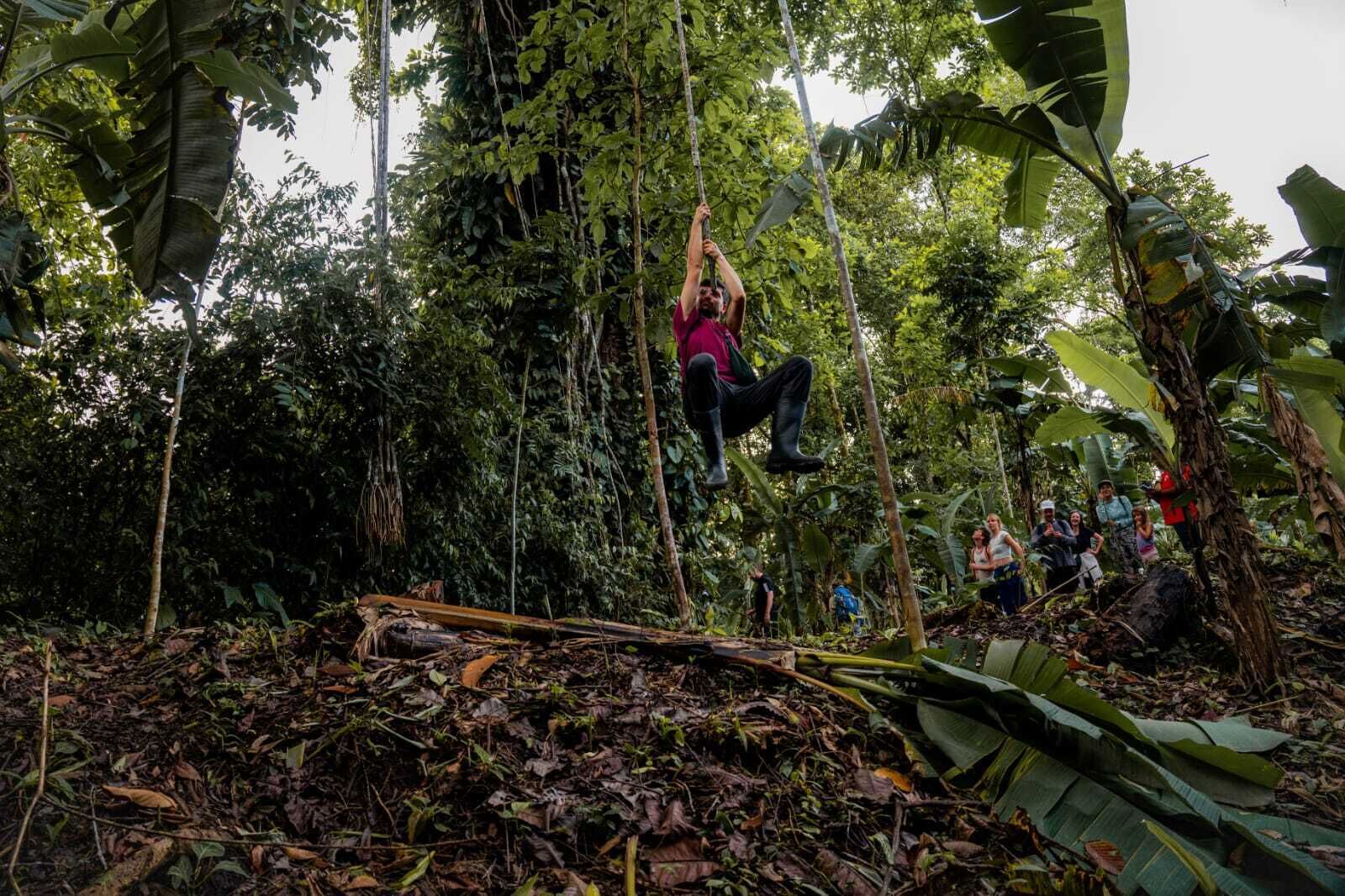 Uma pessoa suspensa em uma floresta, cercada por folhagem e árvores densas.