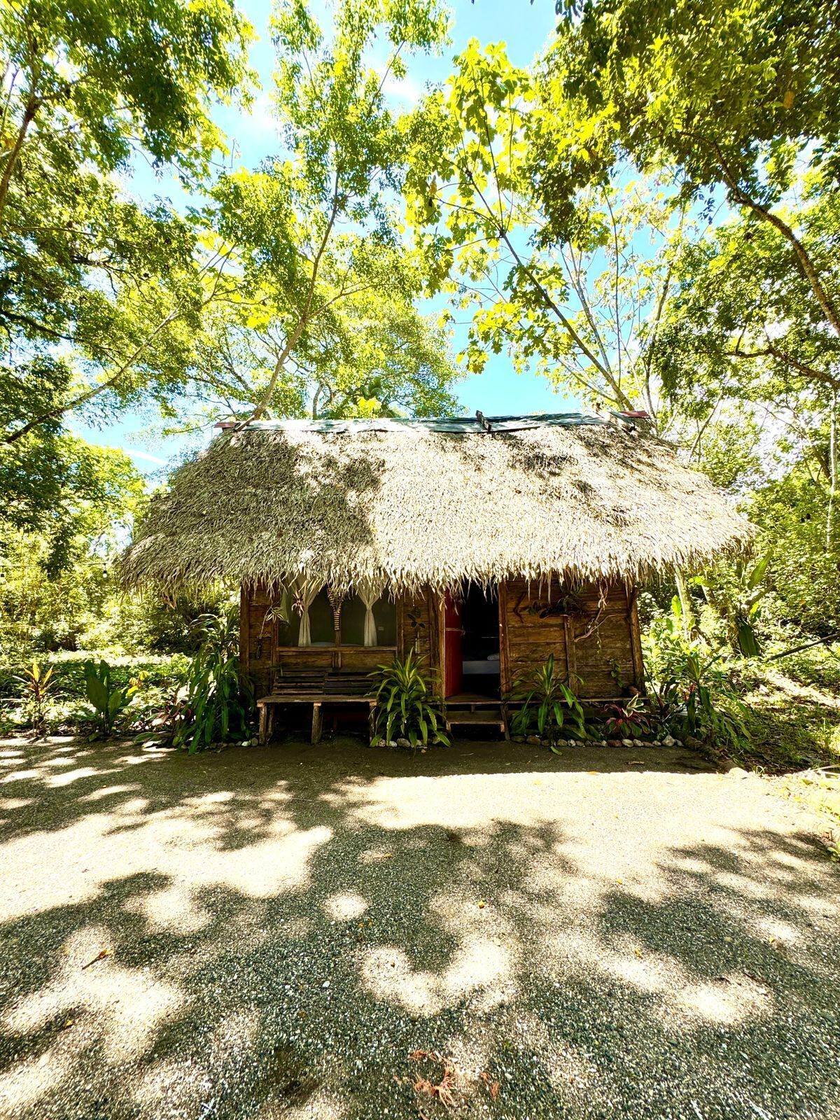 A thatched-roof hut with a wooden bench outside, surrounded by lush greenery.