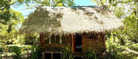 A thatched-roof hut with a wooden bench outside, surrounded by lush greenery.