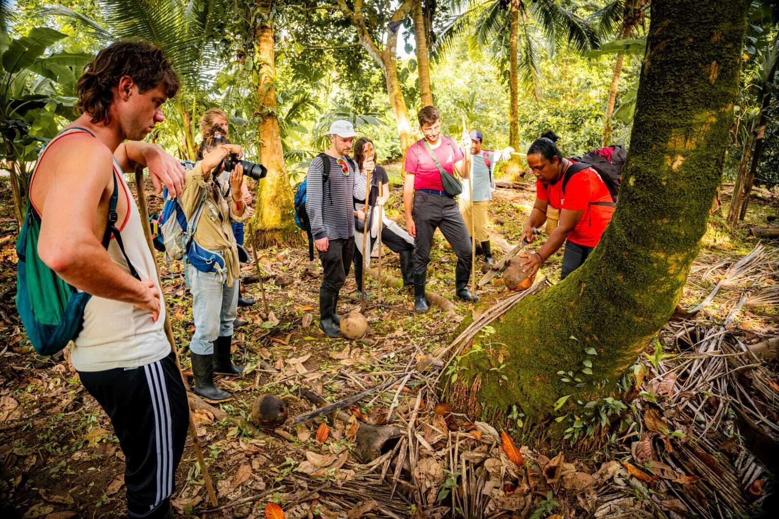 A group of people in a forested area with trees and foliage.