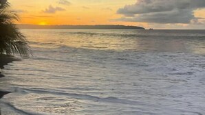 A beach view with a sunset, ocean waves, and a palm tree. - nawala eco-hostel (Nuquí)