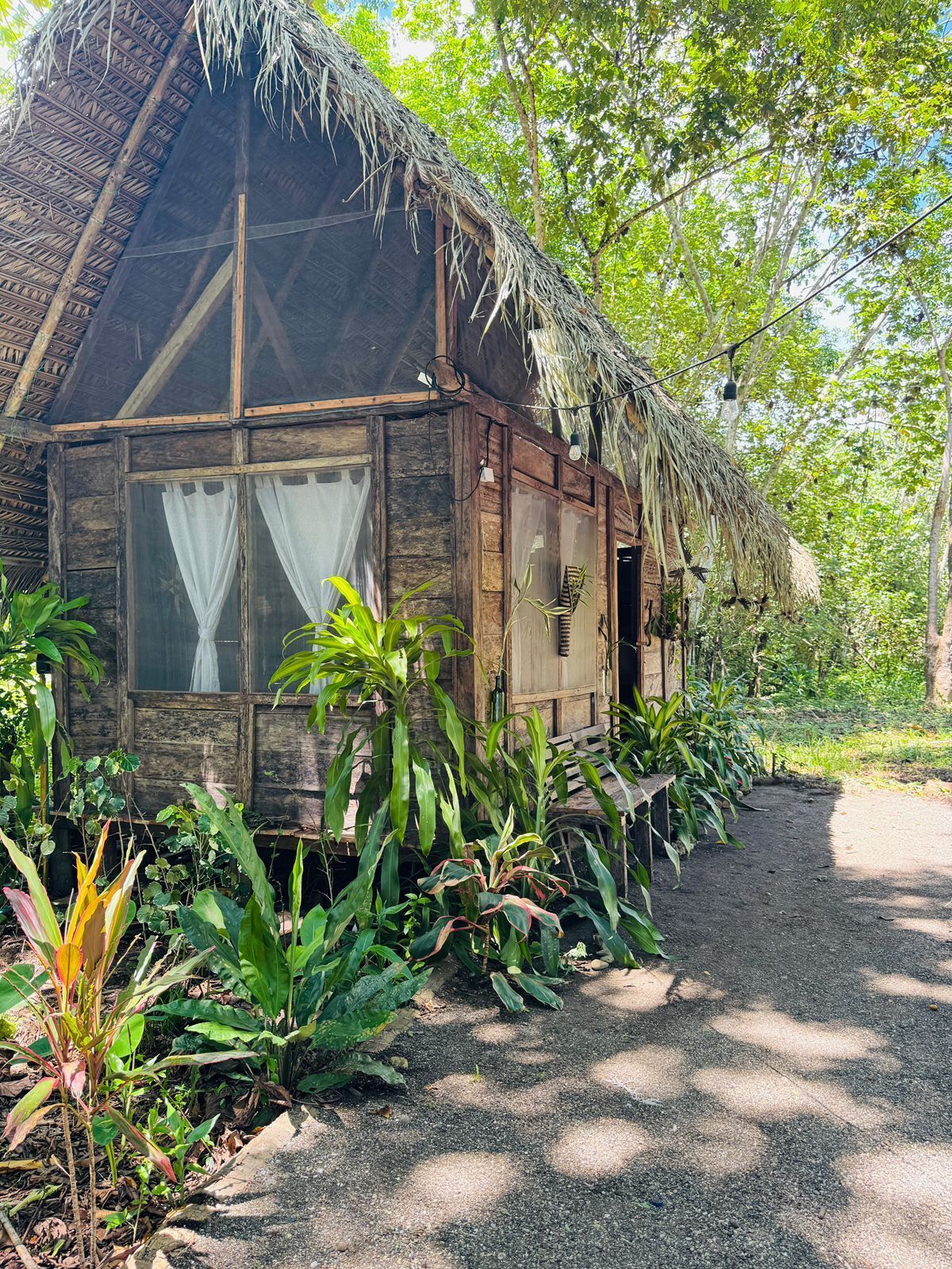 A rustic wooden house with a thatched roof, surrounded by lush greenery.