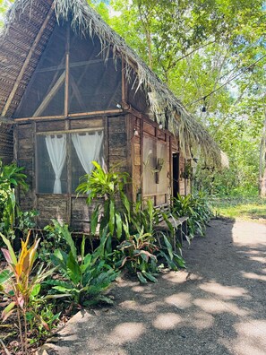 Une maison rustique en bois, dotée d’un toit de chaume, entourée d’une végétation luxuriante.