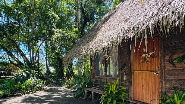 A rustic wooden cabin with a thatched roof, surrounded by lush greenery and a gravel path. - nawala eco-hostel (Nuquí)