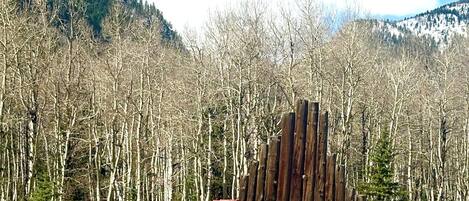 Un letrero de madera con la palabra 'JASPER' en letras blancas sobre un fondo rojo, frente a un paisaje de bosque y montañas.