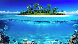 A tropical island with clear blue waters and a variety of fish. - Aria di Mare (Santa Marinella)