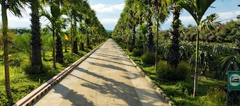 Hoàng Long Tropical - Farmstay