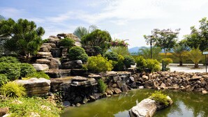 A natural landscape with a rocky waterfall, a pond, and various plants. - Hoàng Long Tropical - Farmstay (Ham Thanh)