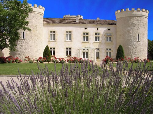 Private Château with Lake, Vineyards, Forest & Multi-Sport Court!