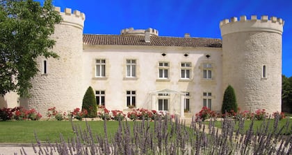 Private Château with Lake, Vineyards, Forest & Multi-Sport Court!