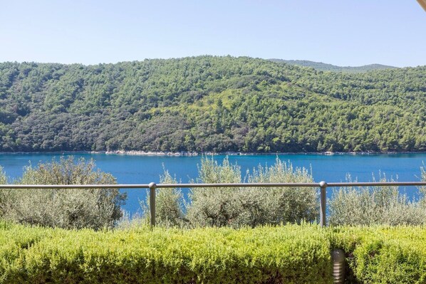 Uma vista panorâmica de um lago, uma encosta arborizada e um corrimão de metal em primeiro plano.