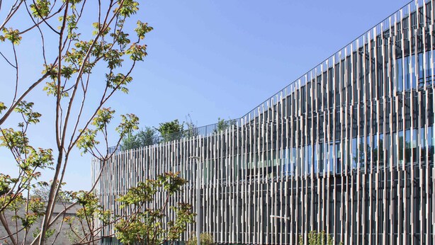 Un edificio moderno con paneles de vidrio verticales y un árbol en primer plano.