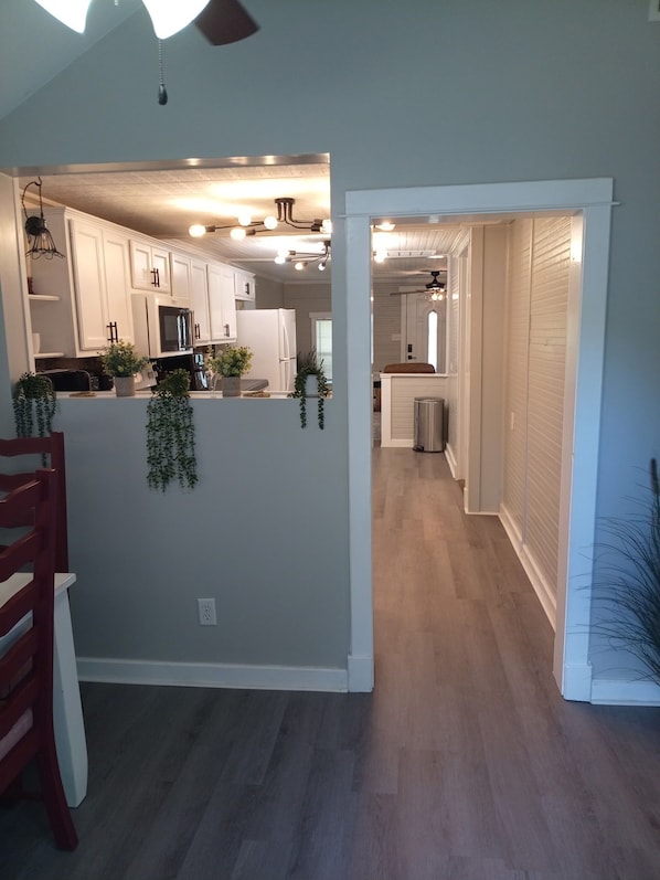A modern kitchen with white cabinets, stainless steel appliances, and hanging plants.