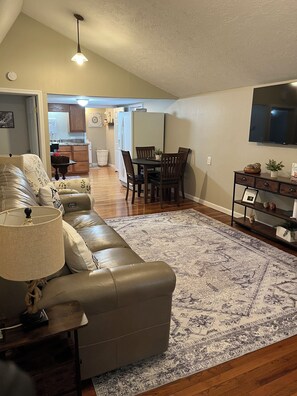 Smart TV, fireplace, books