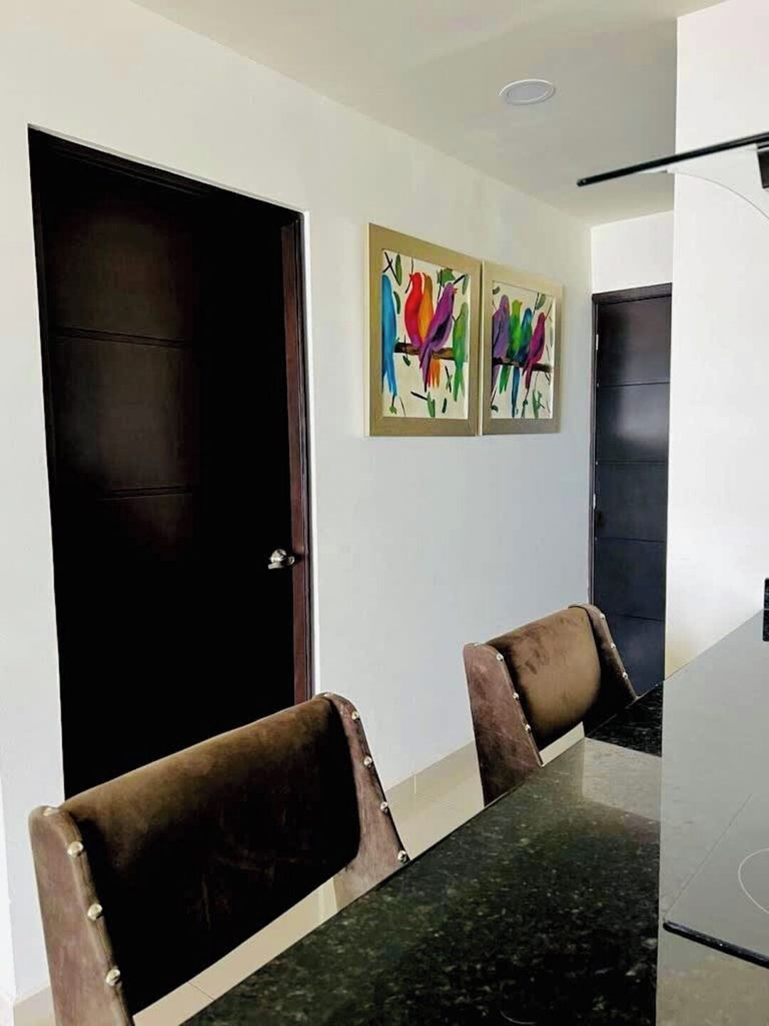 A dining area with a dark wooden door, two framed colorful bird paintings, and a marble table with two upholstered chairs.