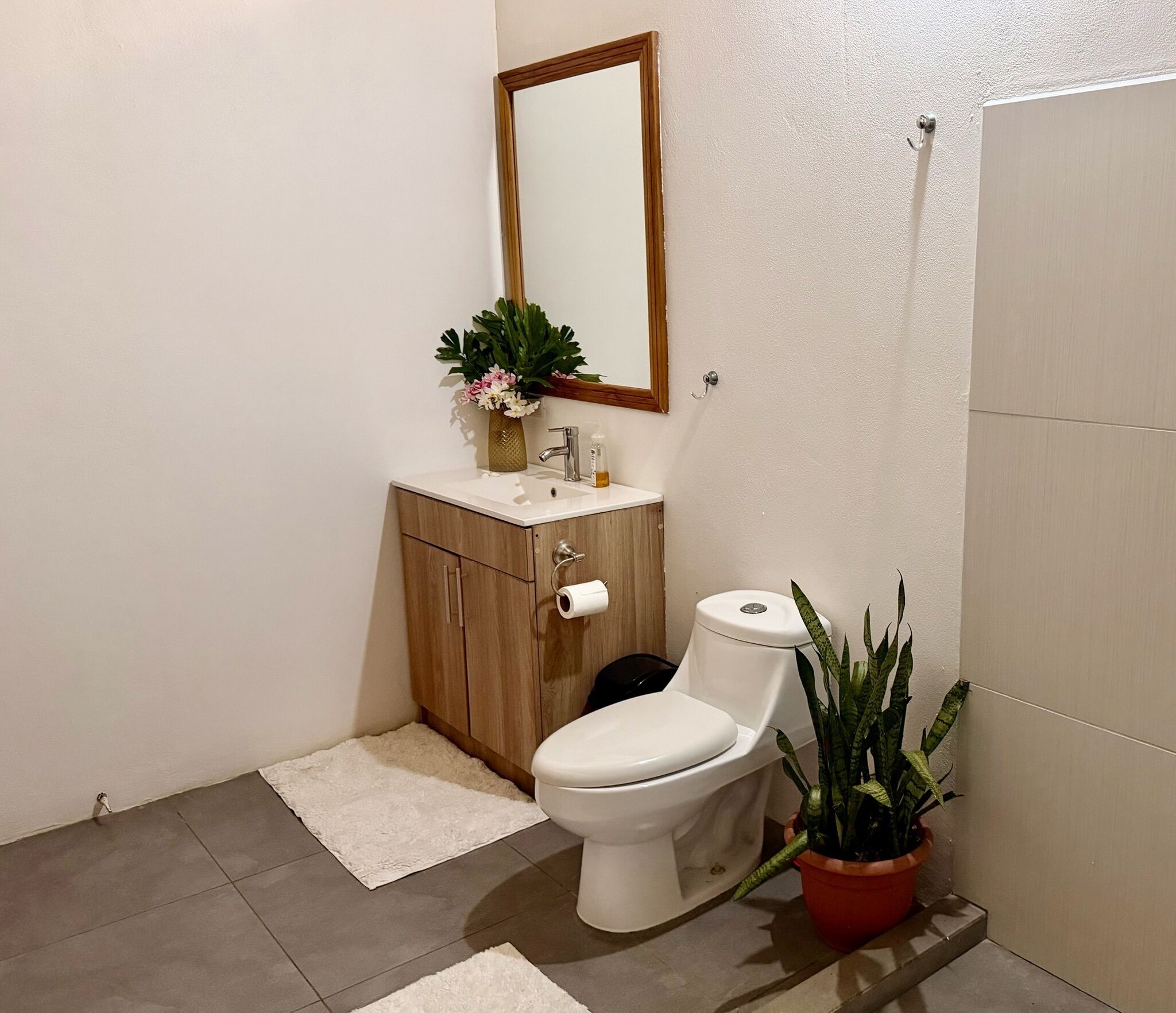 Shower, towels, soap, toilet paper