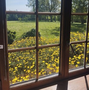 A window with a view of a grassy field and yellow flowers. - Gite 2 persons du Manoir de Keryvoas (kerlouan)