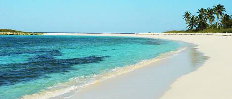 A beach with clear turquoise water, white sand, and palm trees.