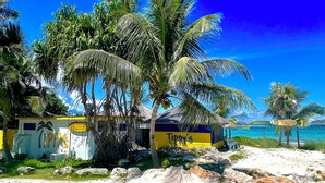 A beachside building with a sign reading "Tipis" and palm trees. - Cute as a Button, AC, Starlink, Wi-Fi, Hot Tub, Near Beaches, Bars & Restaurants (North Palmetto Point)