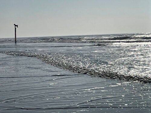 Haus Klitrose - familienfreundliche Reetdachkate nähe Nordsee