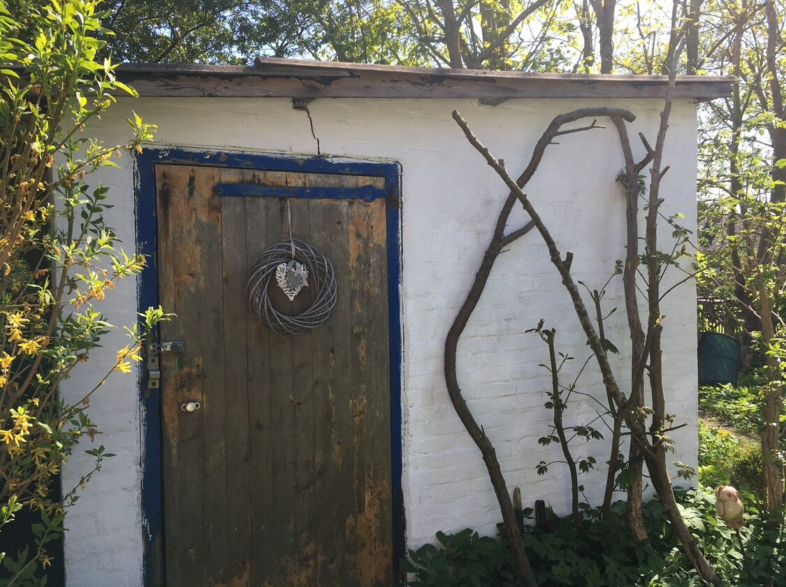 A rustic wooden door with a blue frame, a coiled cable, and a tree branch growing against a white wall.