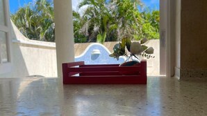 A kitchen counter with a red tray, a white door, and a view of palm trees and a pool. - 2-bedroom townhome in tranquil Belair with cool Atlantic breeze (Belair)