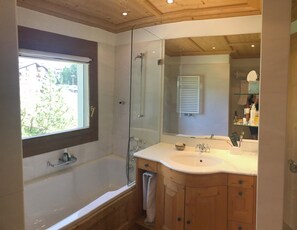 Hair dryer, towels, toilet paper - Charming apartment, stunning lake and mountain views in Engadine St Moritz (St Moritz)
