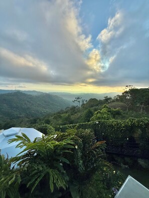 Vista desde la propiedad