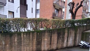 A residential area with a concrete wall, a tree, and a parked motorcycle. - Apartment 'Garro1' with Mountain Views (Donostia / San Sebastián)