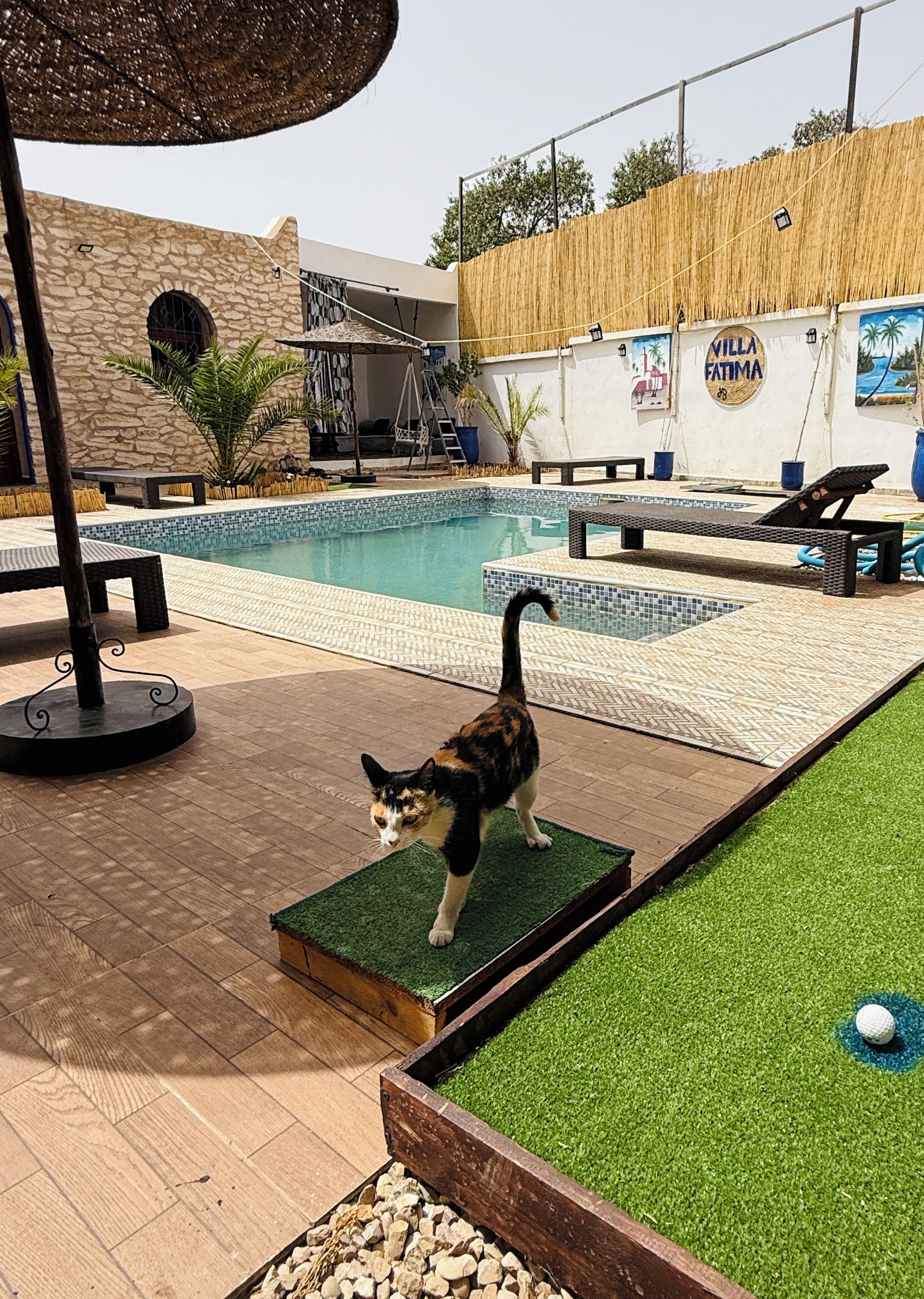 Pool